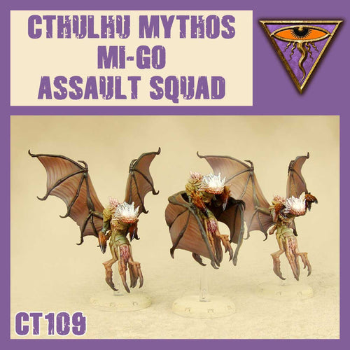 MI-GO Assault Squad